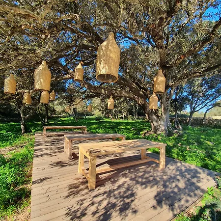 Hotel Santa Ponsa - Fontenille Collection Alaior