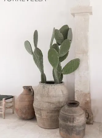 호텔 Santa Ponsa Fontenille Menorca 4*